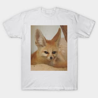 Fennec Fox T-Shirt